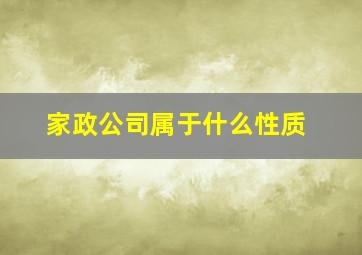 家政公司属于什么性质