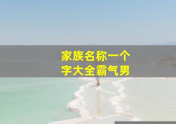 家族名称一个字大全霸气男