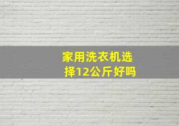 家用洗衣机选择12公斤好吗