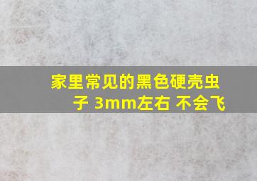 家里常见的黑色硬壳虫子 3mm左右 不会飞