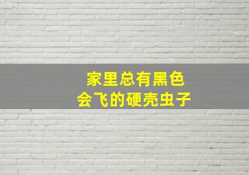 家里总有黑色会飞的硬壳虫子