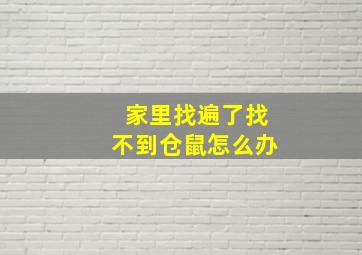 家里找遍了找不到仓鼠怎么办