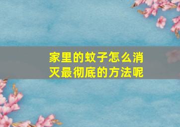 家里的蚊子怎么消灭最彻底的方法呢