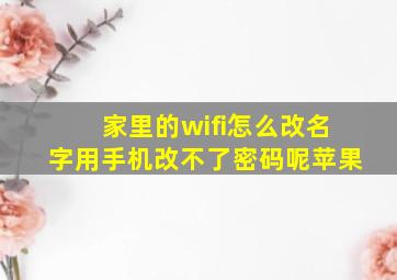 家里的wifi怎么改名字用手机改不了密码呢苹果