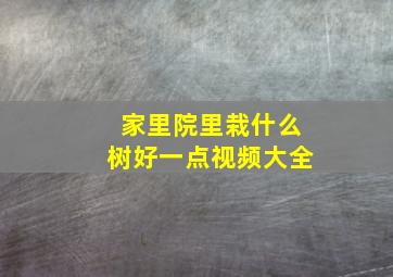 家里院里栽什么树好一点视频大全