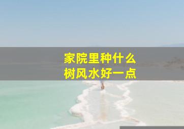 家院里种什么树风水好一点