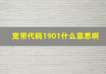 宽带代码1901什么意思啊