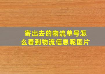 寄出去的物流单号怎么看到物流信息呢图片