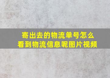 寄出去的物流单号怎么看到物流信息呢图片视频