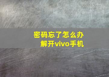 密码忘了怎么办解开vivo手机