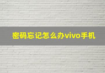 密码忘记怎么办vivo手机