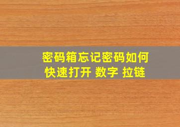 密码箱忘记密码如何快速打开 数字 拉链