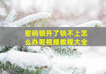 密码锁开了锁不上怎么办呢视频教程大全