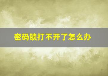 密码锁打不开了怎么办