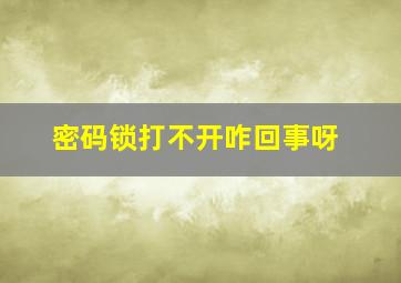 密码锁打不开咋回事呀