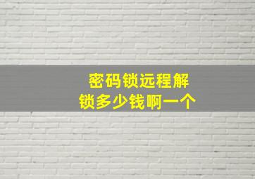 密码锁远程解锁多少钱啊一个