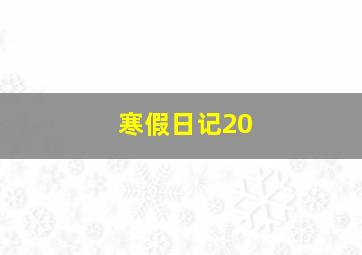 寒假日记20