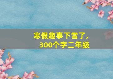 寒假趣事下雪了,300个字二年级