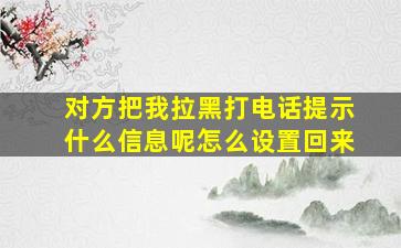 对方把我拉黑打电话提示什么信息呢怎么设置回来