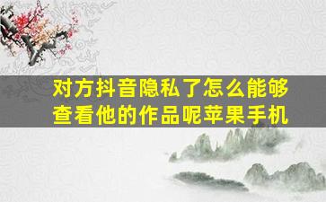 对方抖音隐私了怎么能够查看他的作品呢苹果手机