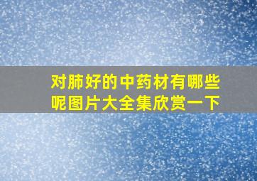 对肺好的中药材有哪些呢图片大全集欣赏一下