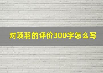 对项羽的评价300字怎么写