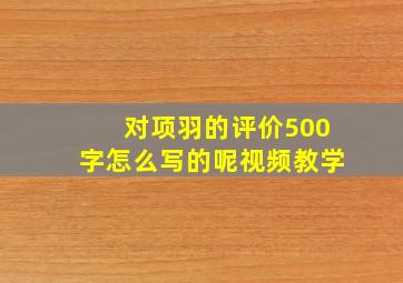 对项羽的评价500字怎么写的呢视频教学