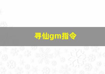 寻仙gm指令