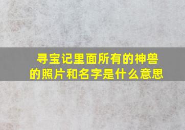 寻宝记里面所有的神兽的照片和名字是什么意思