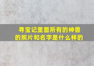 寻宝记里面所有的神兽的照片和名字是什么样的