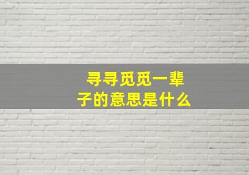 寻寻觅觅一辈子的意思是什么