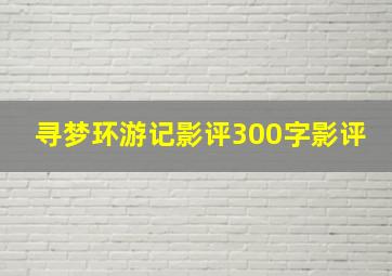 寻梦环游记影评300字影评