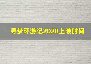 寻梦环游记2020上映时间