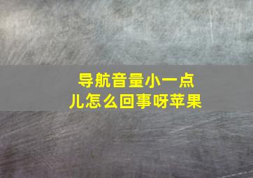 导航音量小一点儿怎么回事呀苹果