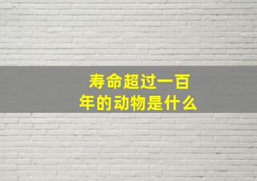 寿命超过一百年的动物是什么