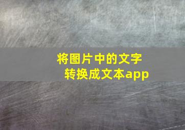 将图片中的文字转换成文本app