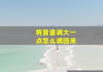 将音量调大一点怎么调回来