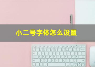 小二号字体怎么设置