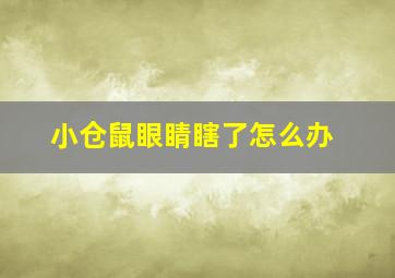 小仓鼠眼睛瞎了怎么办