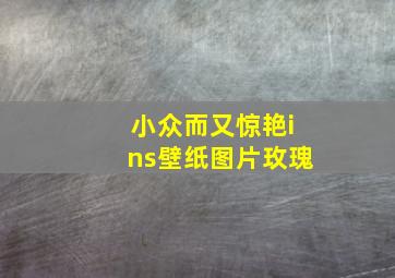 小众而又惊艳ins壁纸图片玫瑰