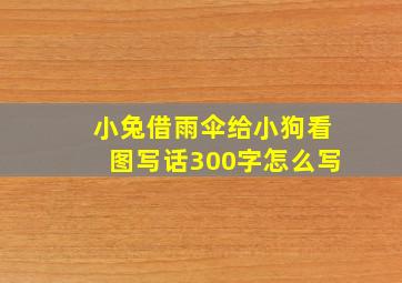 小兔借雨伞给小狗看图写话300字怎么写