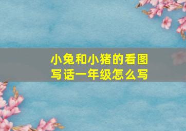 小兔和小猪的看图写话一年级怎么写