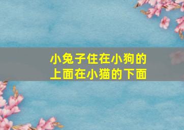 小兔子住在小狗的上面在小猫的下面