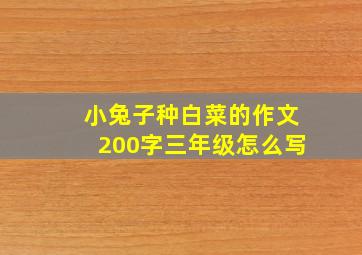 小兔子种白菜的作文200字三年级怎么写