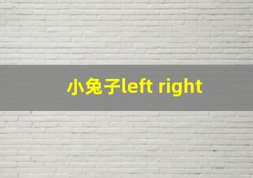 小兔子left right