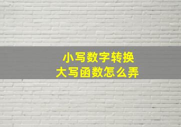 小写数字转换大写函数怎么弄