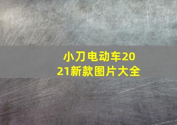 小刀电动车2021新款图片大全