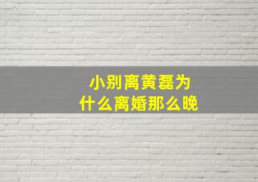 小别离黄磊为什么离婚那么晚