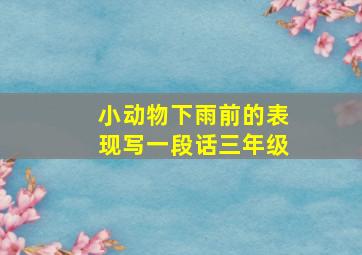 小动物下雨前的表现写一段话三年级