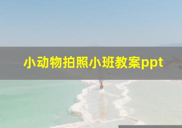 小动物拍照小班教案ppt